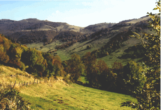 Bertrande